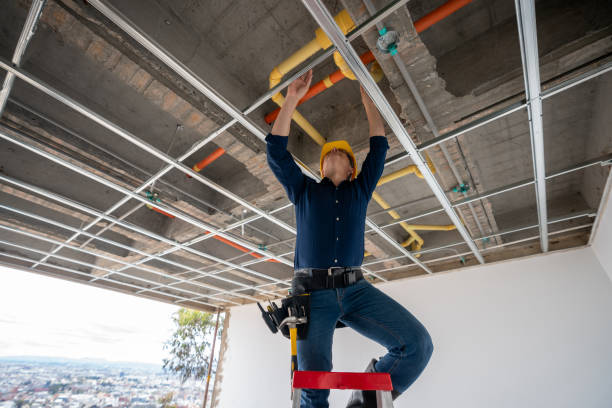 Best Best Plumbers Near Me  in Bellevue, OH
