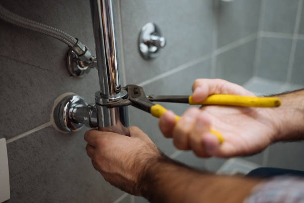 Best Clogged Drain Plumber  in Bellevue, OH